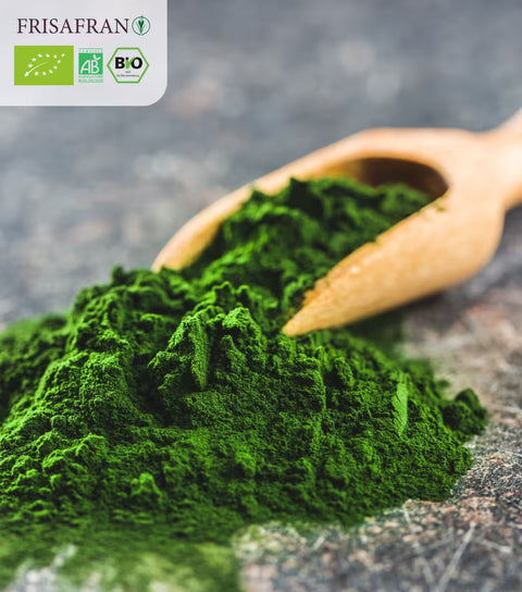 Chlorella Ecológica en Polvo